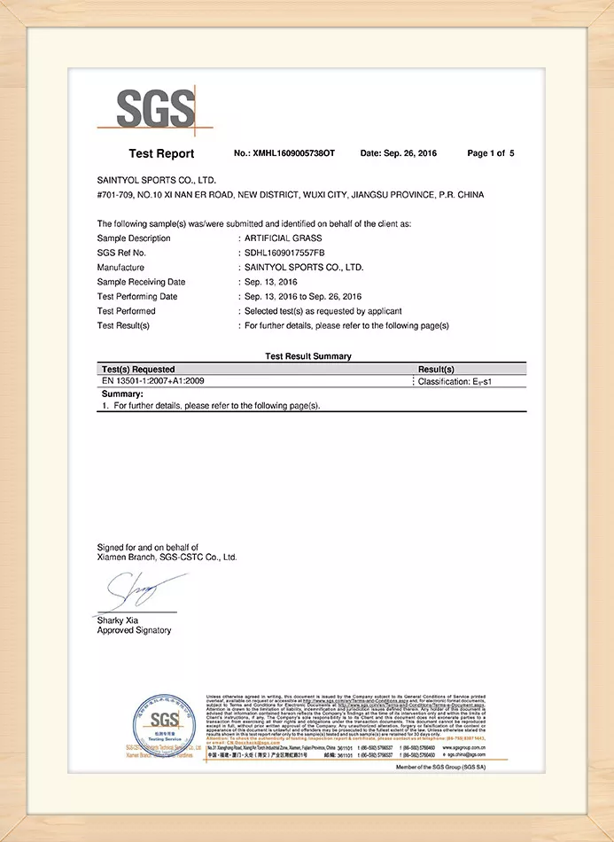 Lead Test